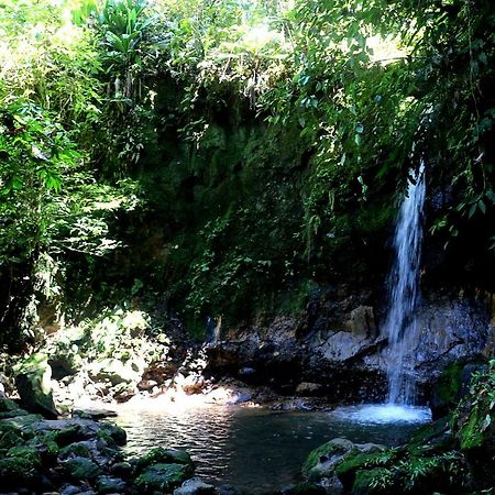 Misahualli Amazon Lodgeテナ エクステリア 写真