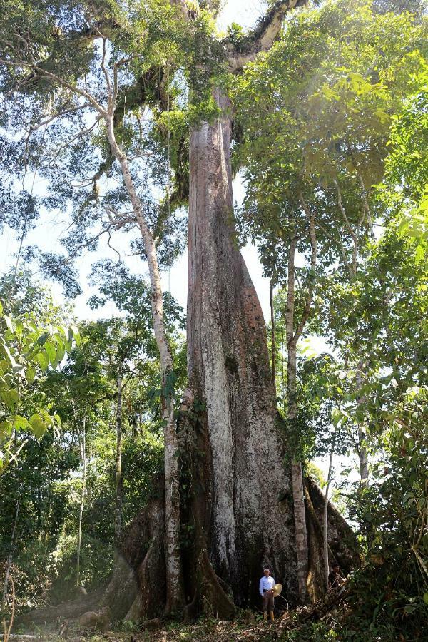 Misahualli Amazon Lodgeテナ エクステリア 写真